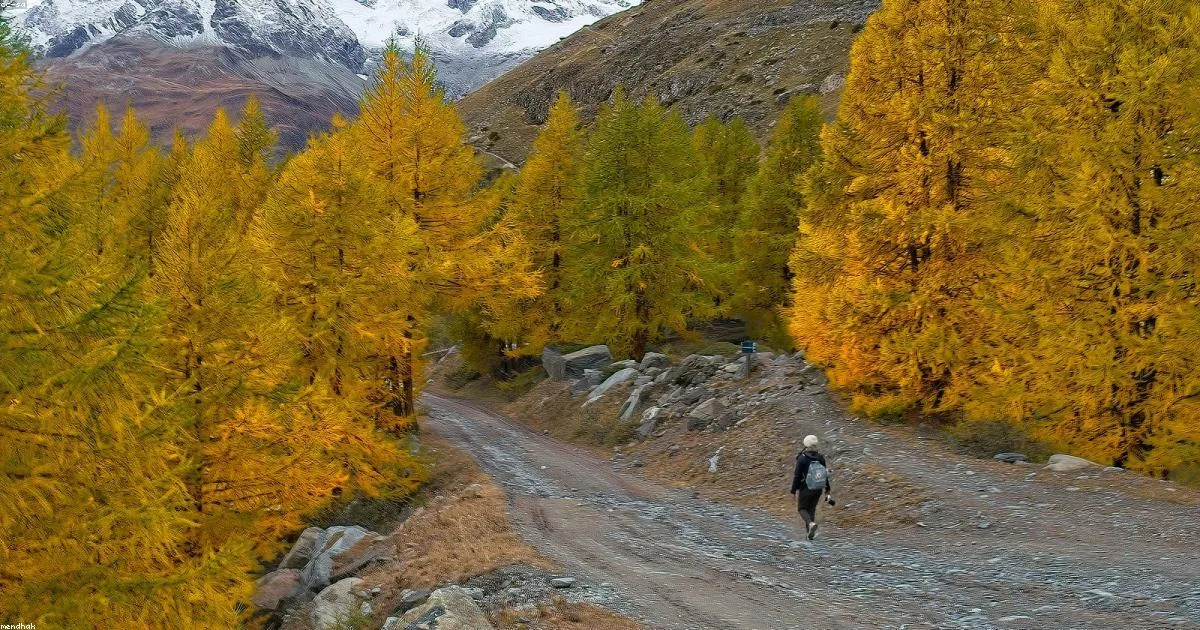 Narcissistic Abuse Recovery: A Step-by-Step Healing Timeline