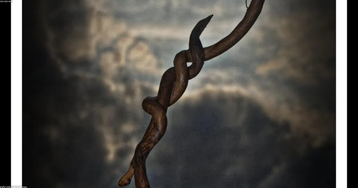 Your Conflict Style Reveals More About You Than You Think