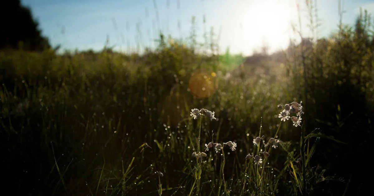 Secure Attachment Style: What It Looks Like and How to Develop It