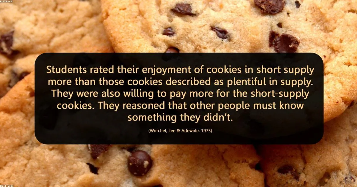 Morning Routine Science: What High Performers Actually Do Before 8 AM